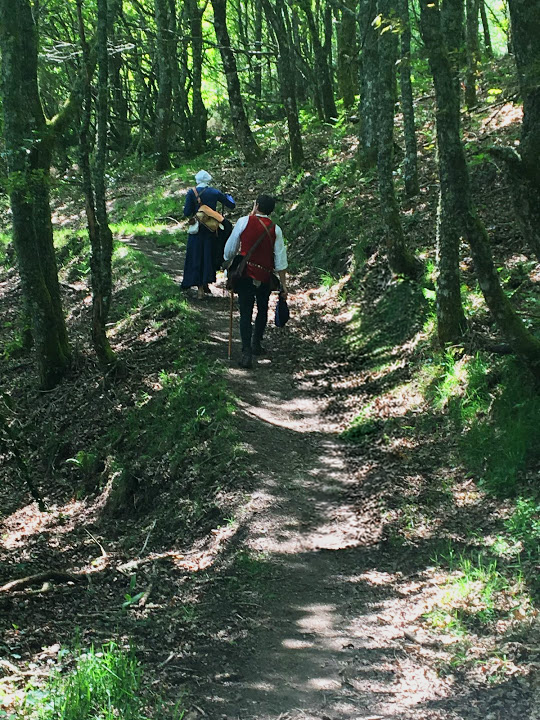 Just as our elevation changed constantly, we frequently passed in and out of deep woods. We all preferred the woods: lovely, dark, and deep, to borrow a famous poet's words.